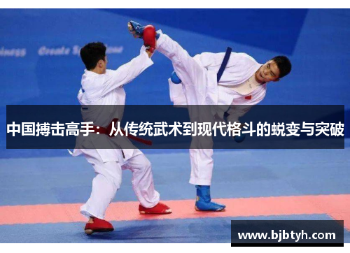中国搏击高手：从传统武术到现代格斗的蜕变与突破