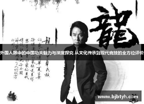 外国人眼中的中国功夫魅力与深度探究 从文化传承到现代竞技的全方位评价