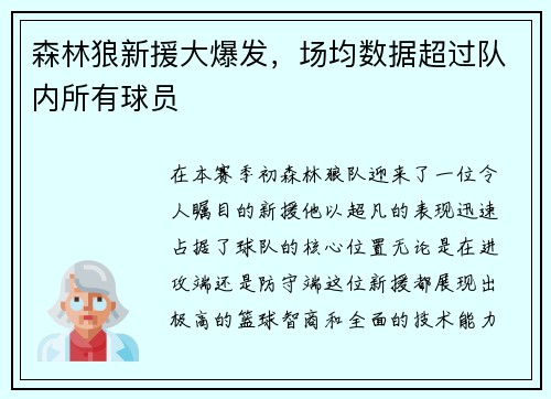 森林狼新援大爆发，场均数据超过队内所有球员